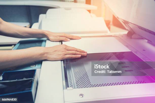 Woman Hand Putting A Sheet Of Paper Into A Copying Device Stock Photo - Download Image Now