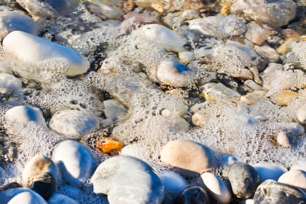 istock Background with white and gray stones softly rounded and washed from sea water 666969082