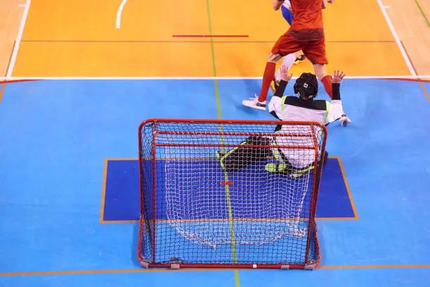Unidentified Floorball Goalie during the match