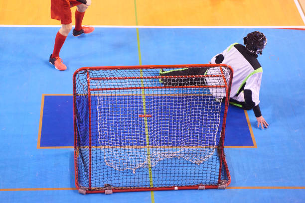 istock Unidentified Floorball Goalie during the match 666974892