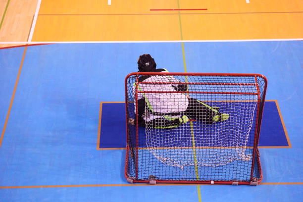 istock Unidentified Floorball Goalie during the match 666974912