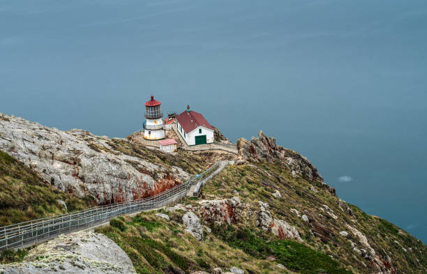 istock Point Reyes Lighthouse in California 666975942