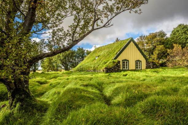 kościół murawa w islandzkiej miejscowości hof, skaftafell islandia - turf house zdjęcia i obrazy z banku zdjęć