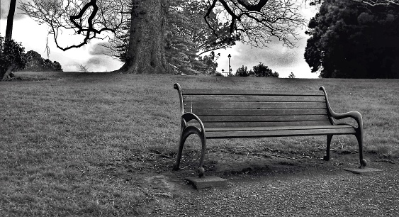 Black and white photograph of an empty park bench