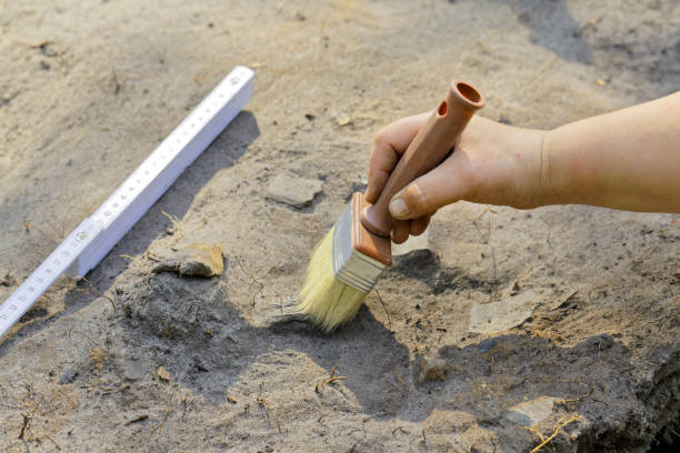 istock Stage of archaeological work - clearing 666979388