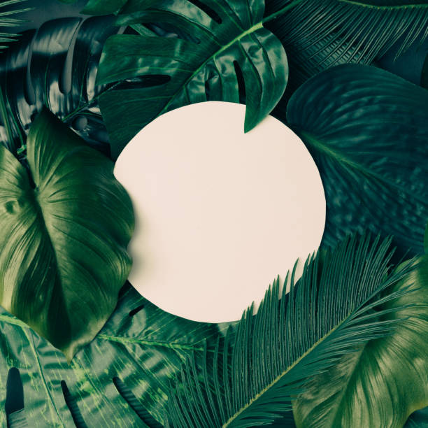 istock Creative tropical green leaves layout with copy space. Nature spring concept. Flat lay. 666983586