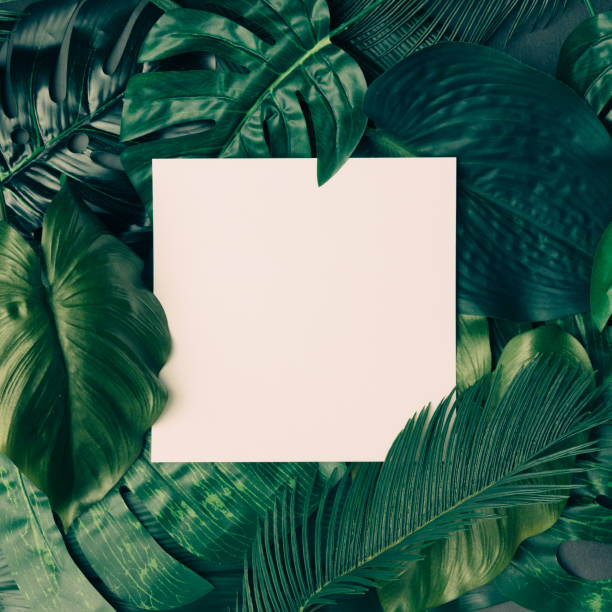 istock Creative tropical green leaves layout with copy space. Nature spring concept. Flat lay. 666983592