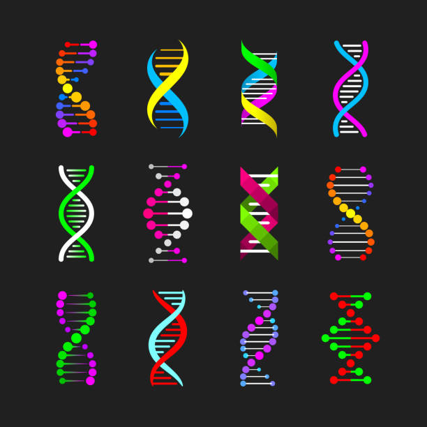 dna-icons set - dna helix spiral color image stock-grafiken, -clipart, -cartoons und -symbole