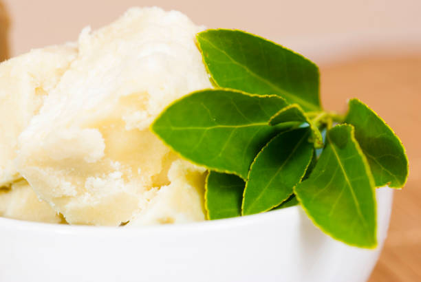 Beurre de karité et feuilles - Photo
