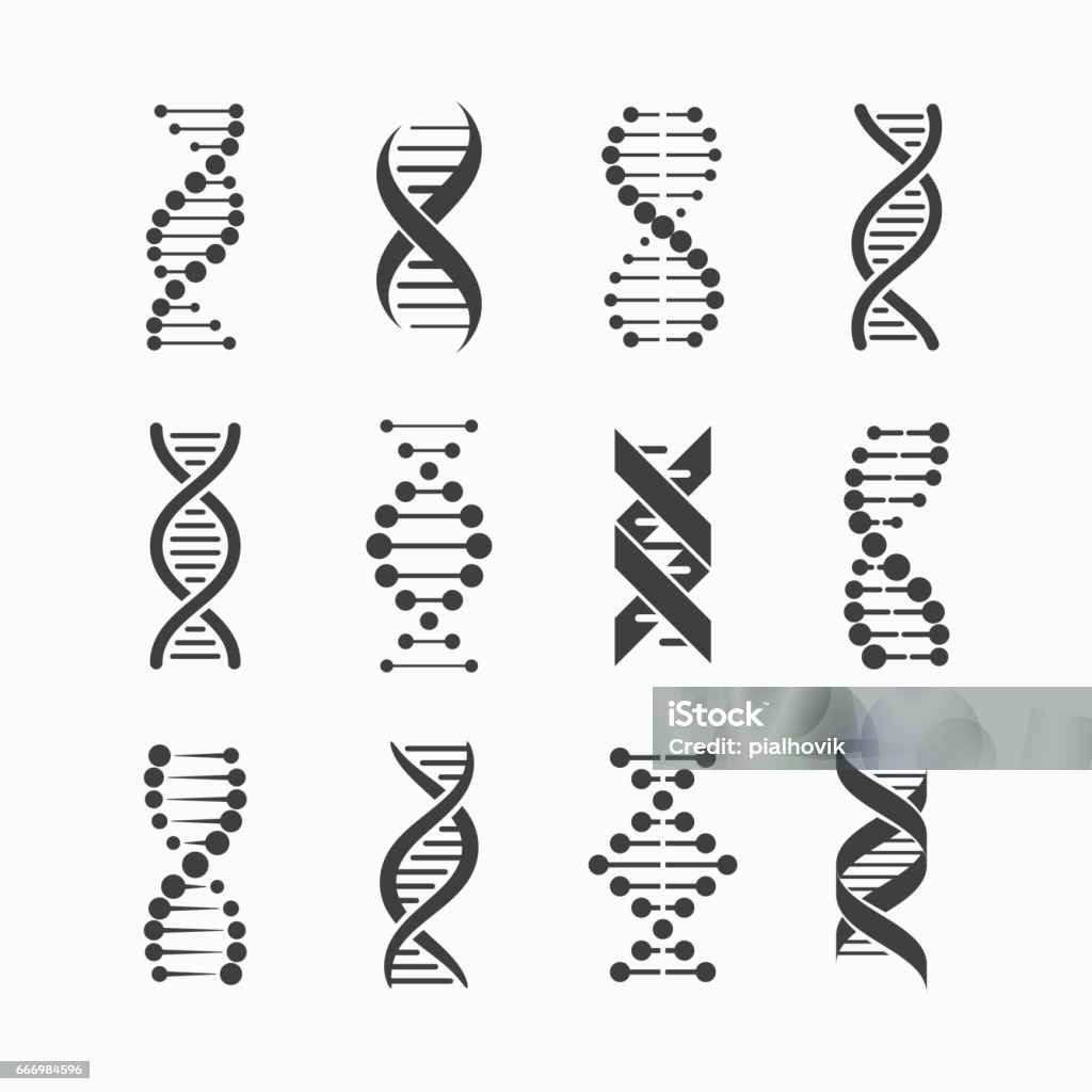 DNA icons set DNA icons set vector illustration, eps10 DNA stock vector