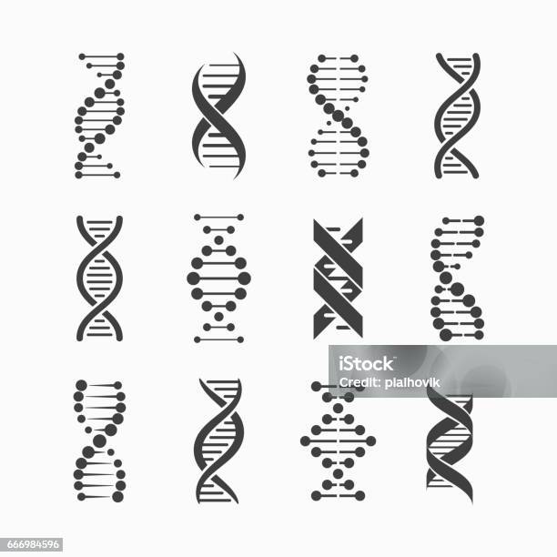 Dna Icons Set Stock Illustration - Download Image Now - DNA, Helix, Icon