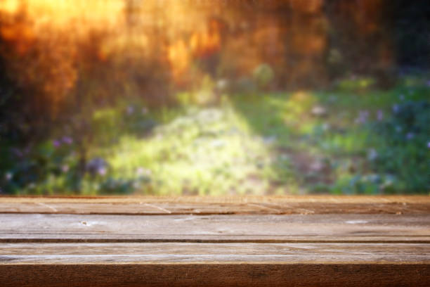 istock Empty table in front of dreamy bokeh countryside 666989220