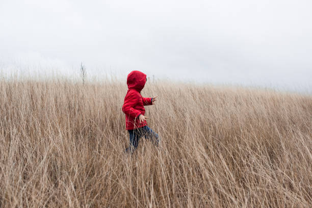 istock Little boy walking in dry grass 666995458