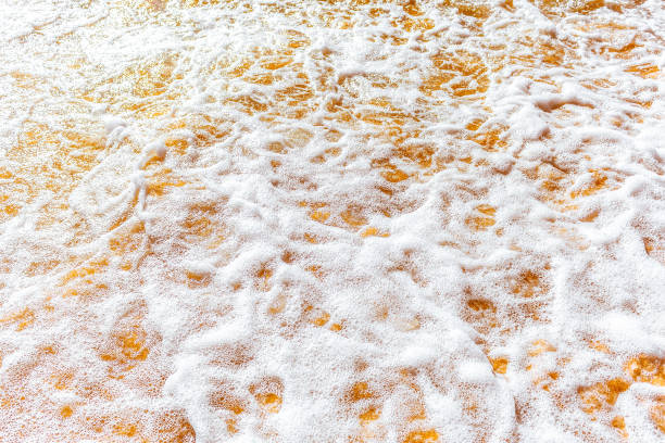 istock Sea foam on the sand 666998920