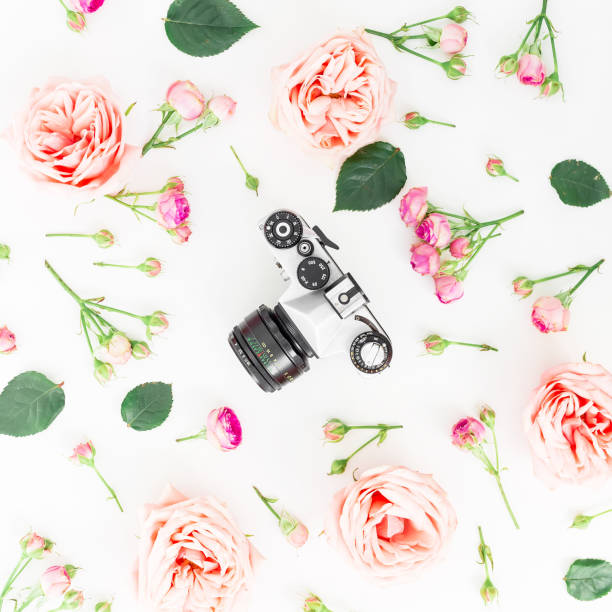 istock Round frame with pink roses and vintage old camera on white background. Flat lay, top view. Floral background. 667006204