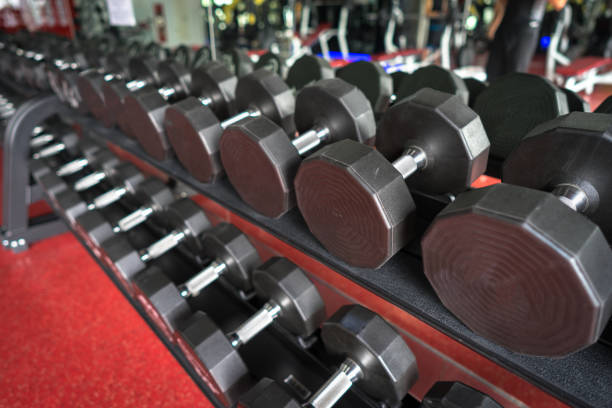 istock Rows of dumbbells in the gym 667006458
