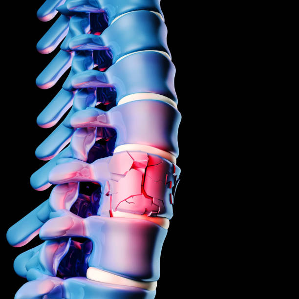 ludzka kość kręgowa 3d - human spine human vertebra disk spinal zdjęcia i obrazy z banku zdjęć