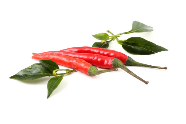 istock Red hot chili peppers and leaves 667015630