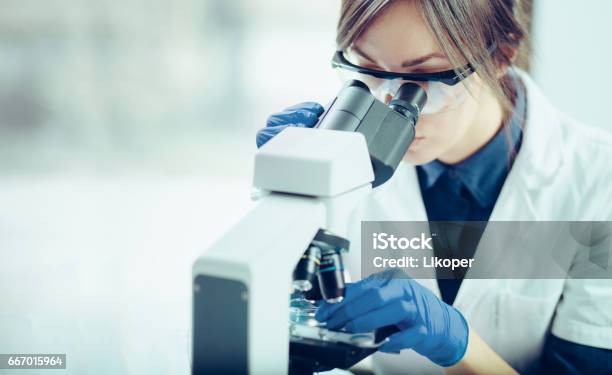 Young Scientist Looking Through A Microscope In A Laboratory Young Scientist Doing Some Research Stock Photo - Download Image Now