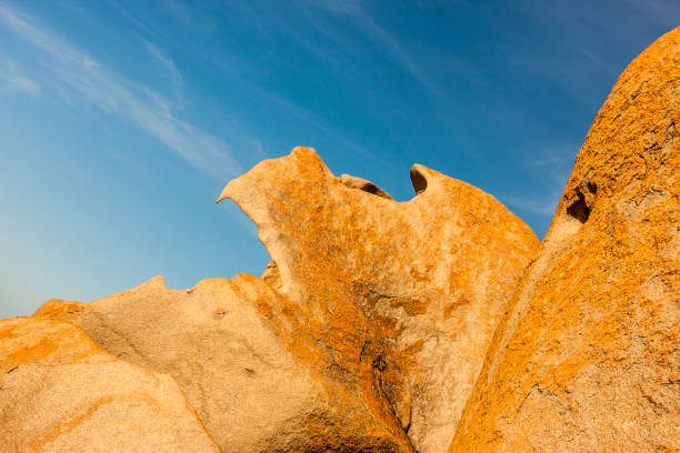 리마커블 록스, 캥거루 아일랜드, 호주 - kangaroo island australia south australia weathered 뉴스 사진 이미지