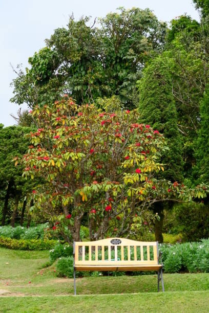 istock small bench in a nice and peaceful garden 667021054