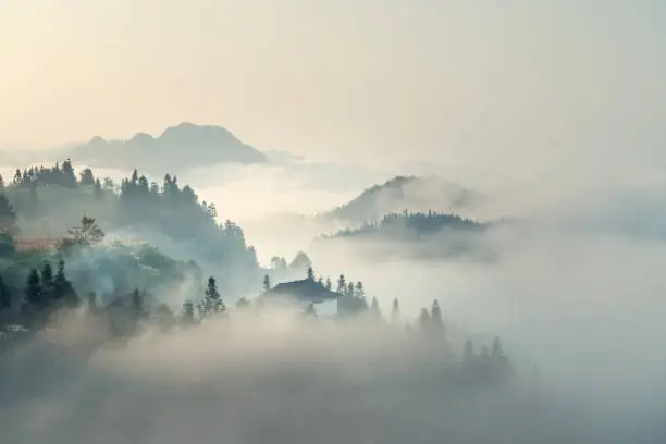The morning mist in guizhou,china