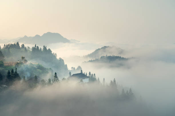 poranna mgła - landscape forest asia mountain zdjęcia i obrazy z banku zdjęć