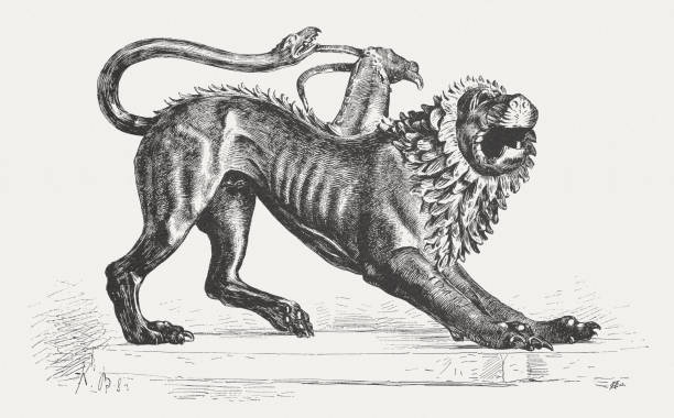 Chimera of Arezzo, etruscan bronze sculpture (c.400 B.C.E) The Chimera of Arezzo. Wood engraving after a etruscan bronze sculpture (c. 400 B.C.E), published in 1884. arezzo stock illustrations