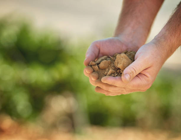 istock Making a living from the earth 667031174