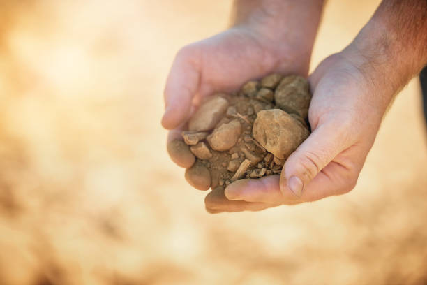 istock Make the best of what you've got 667031198