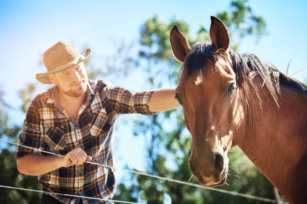 istock He's well taken care of 667031238