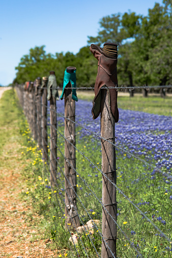 Cowboy Boot Fence Row photo