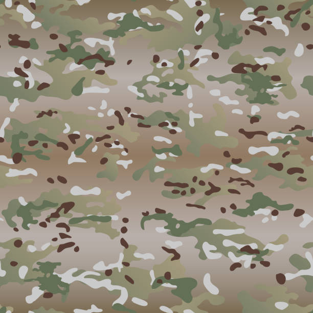 30+ Multicam Stock Illustrations, Royalty-Free Vector Graphics