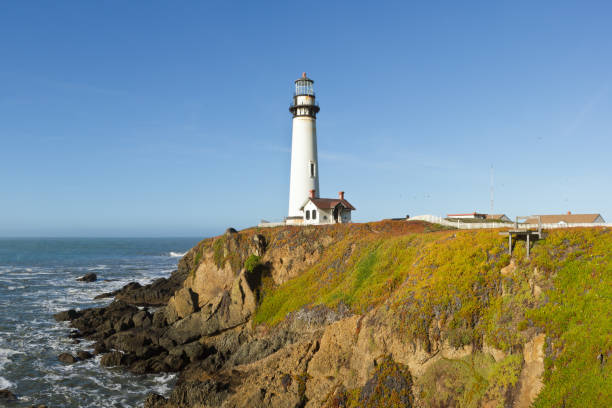 istock Pigeon Point Lighthouse on California Coast 667038336