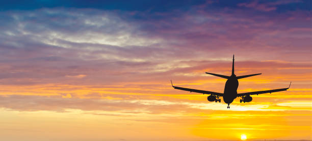 istock Silhouette of landing airplane 667038596