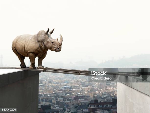 Should I Try It Stock Photo - Download Image Now - Bizarre, Courage, Failure