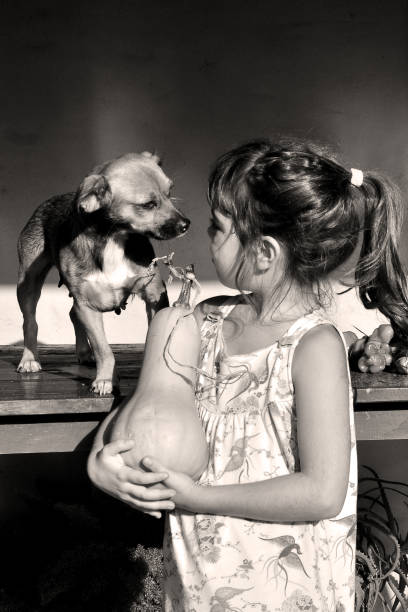 istock Little Girl and Dog 667042452