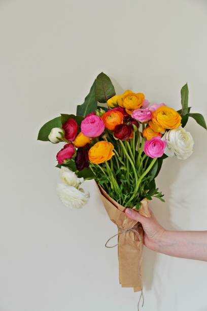 istock Ranunculus flower bouquet in the hand 667043436