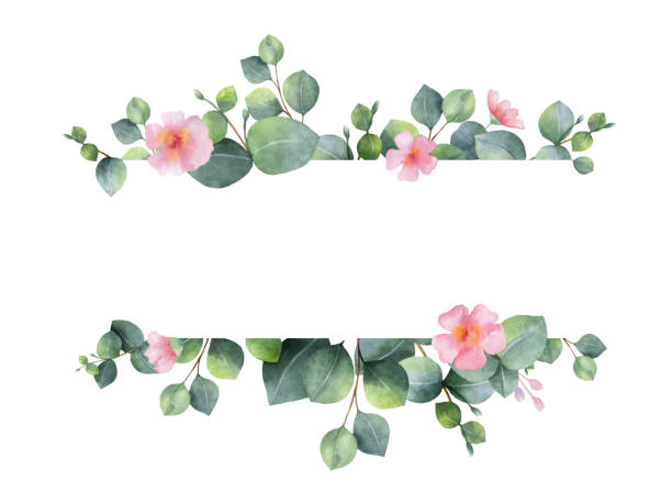 aquarell handbemalt grünes florales banner mit eukalyptus und rosa blüten. - bluegum tree stock-grafiken, -clipart, -cartoons und -symbole
