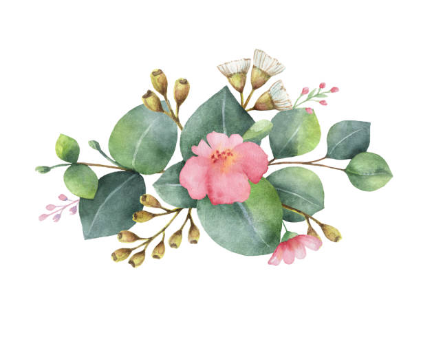 акварель ручной росписью букет с зеленым эвкалиптом и розовыми цветами. - bluegum tree stock illustrations