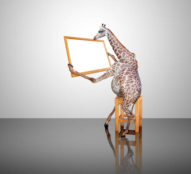 istock Giraffe sitting holding a board sign.Photo combination concept. 667051392