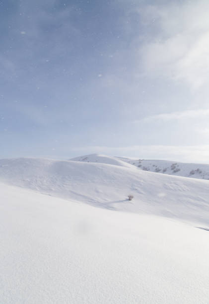 istock snowy mountains in Kazakhstan 667059870