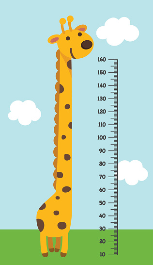 Meter wall with giraffe.vector illustration.