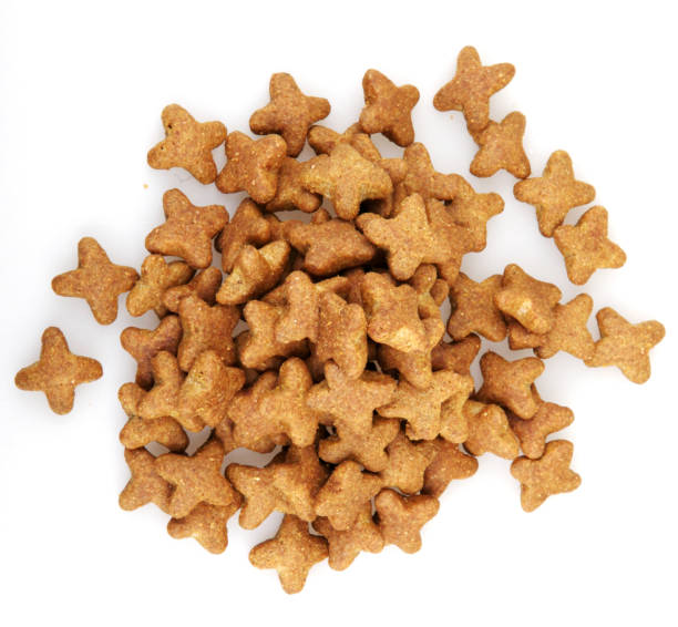 istock Pet food on a white background 667063094