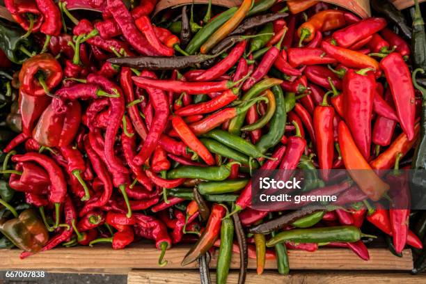 Red Pepper Stock Photo - Download Image Now - Pepper - Vegetable, Chili Pepper, Variation