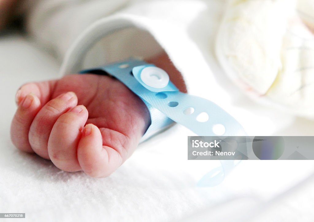 newborn hand Newborn Stock Photo newborn hand Newborn Stock Photo