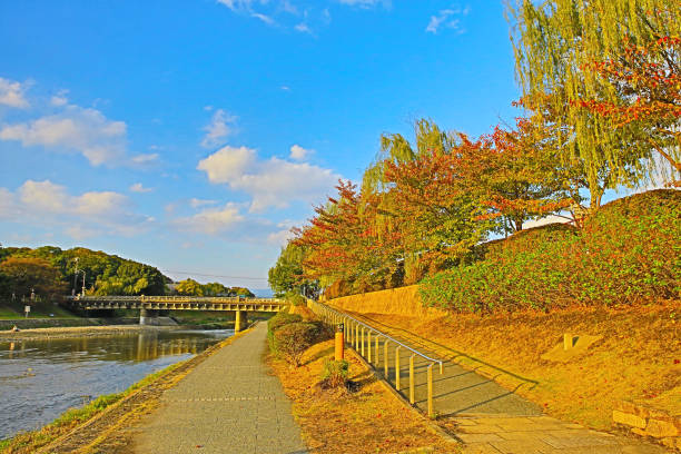 istock Kyoto, Japan Kamo River in fall seaon 667070898