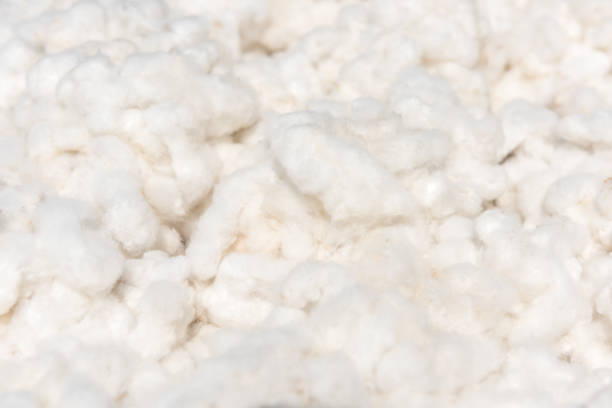 istock cotton harvest from field 667079398