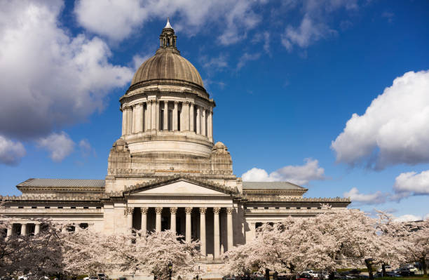 istock Washington State Capital Building Olympia Springtime Cherry Blossoms Capitol 667082658