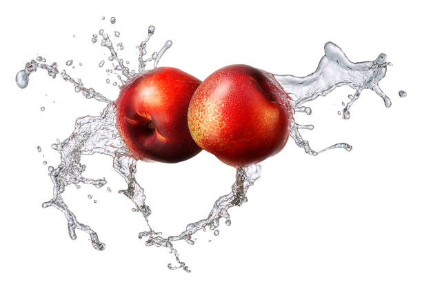 вода брызгает нектарином изолированы - nectarine peaches peach abstract стоковые фото и изображения